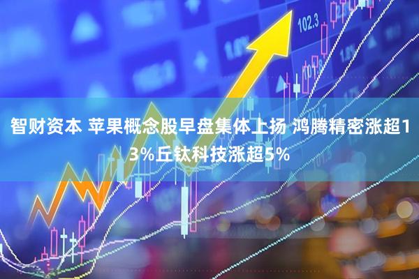 智财资本 苹果概念股早盘集体上扬 鸿腾精密涨超13%丘钛科技涨超5%
