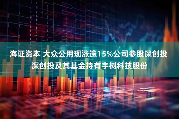 海证资本 大众公用现涨逾15%公司参股深创投 深创投及其基金持有宇树科技股份