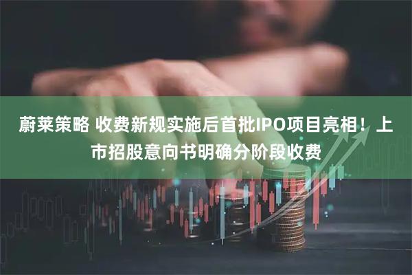 蔚莱策略 收费新规实施后首批IPO项目亮相！上市招股意向书明确分阶段收费
