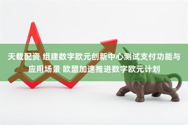 天载配资 组建数字欧元创新中心测试支付功能与应用场景 欧盟加速推进数字欧元计划
