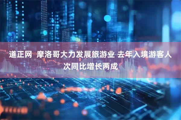 道正网  摩洛哥大力发展旅游业 去年入境游客人次同比增长两成