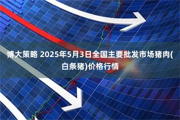 博大策略 2025年5月3日全国主要批发市场猪肉(白条猪)价格行情