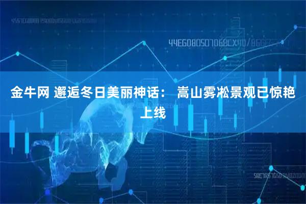 金牛网 邂逅冬日美丽神话： 嵩山雾凇景观已惊艳上线