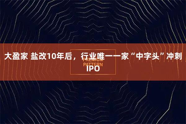 大盈家 盐改10年后，行业唯一一家“中字头”冲刺IPO